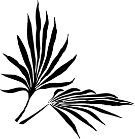 palm-leaves-32531_640